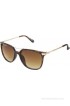 Danny Daze Wayfarer Sunglasses